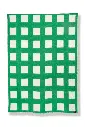 Gate-Wool-Blanket-By-Nathalie-Du-Pasquier-George-Sowden-Col_-Green-White-Nathalie-du-Pasquier-George-Sowden-3.webp