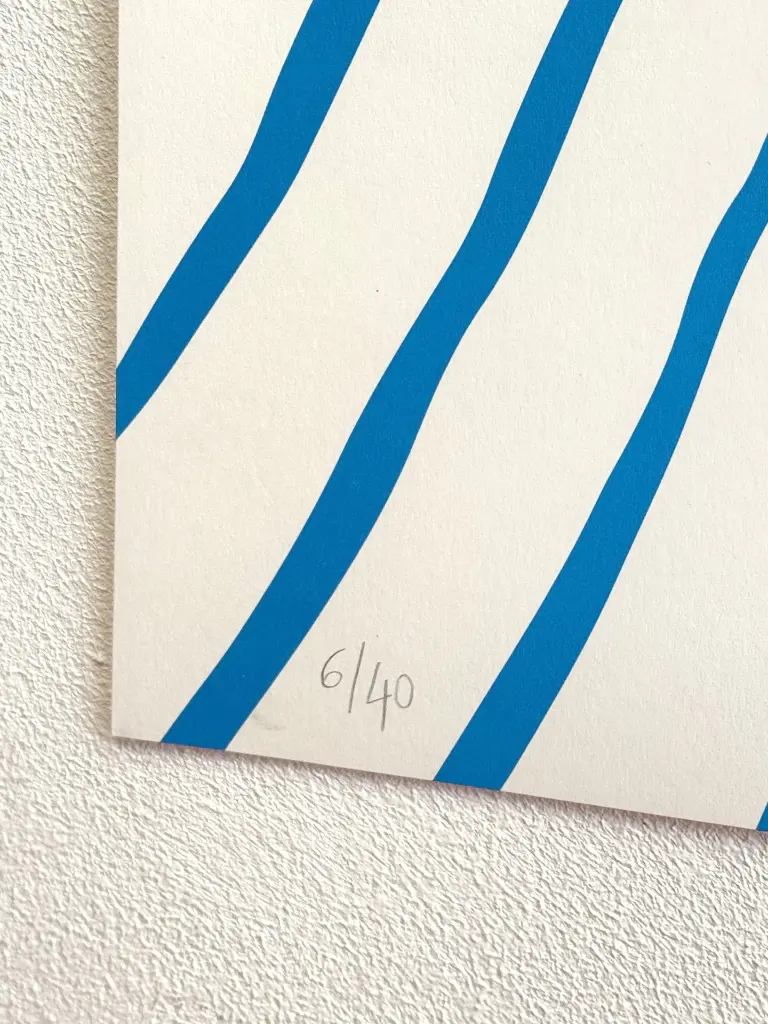 sowden - fotokino pierre_charpin_serigraphie_blue 2.webp